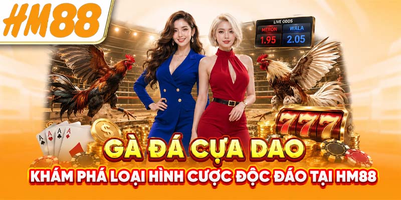 Gà Đá Cựa Dao -  Khám Phá Loại Hình Cược Độc Đáo tại HM88 